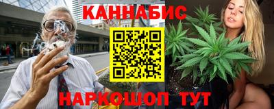 jwh Кингисепп