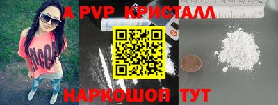 jwh Кингисепп