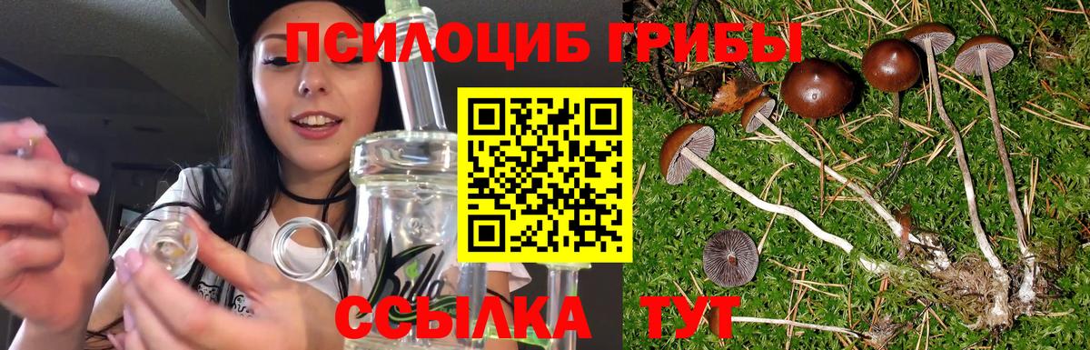Котовск  цена   Вход с VPN  Псилоцибиновые грибы Magic Shrooms 